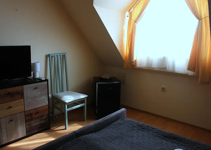 Pensiune Gutenberg 3*